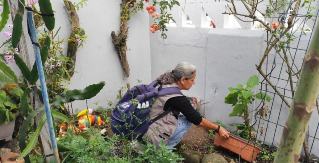 Mutirão contra a dengue no Jardim Iririú elimina 22 toneladas de entulho, maior volume recolhido neste ano