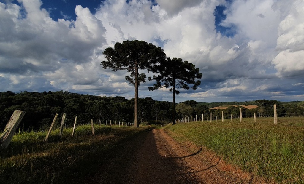  - IMAGEM DIVULGAÇÃO