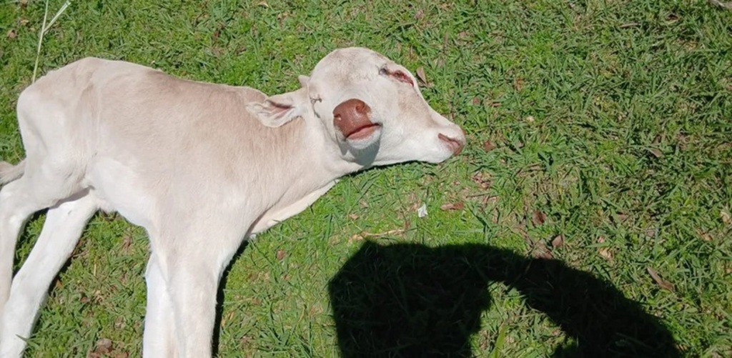  - IMAGEM DIVULGAÇÃO