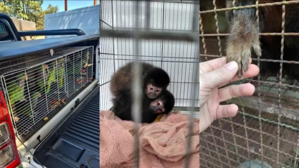  - IMAGEM DIVULGAÇÃO