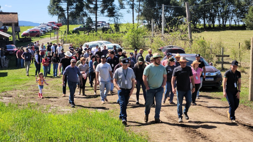 Epagri incentiva pequenos produtores a investirem em mirtilo na Serra Catarinense