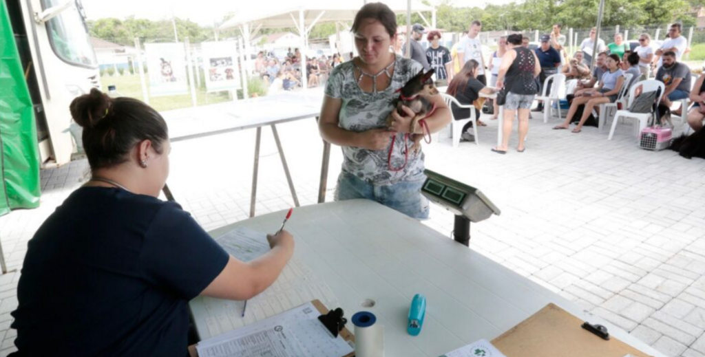 Tutores de animais que moram no bairro Paranaguamirim podem inscrever cães e gatos em mutirão de castração gratuito