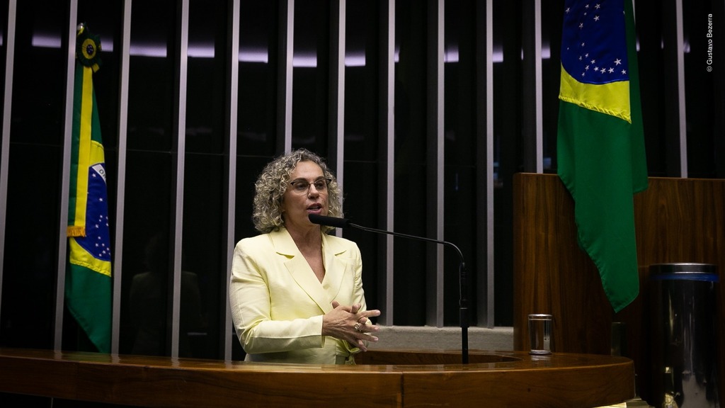 Deputada Ana Paula Lima anuncia oferta do Implanon 'método contraceptivo' pelo SUS em SC a partir deste mês