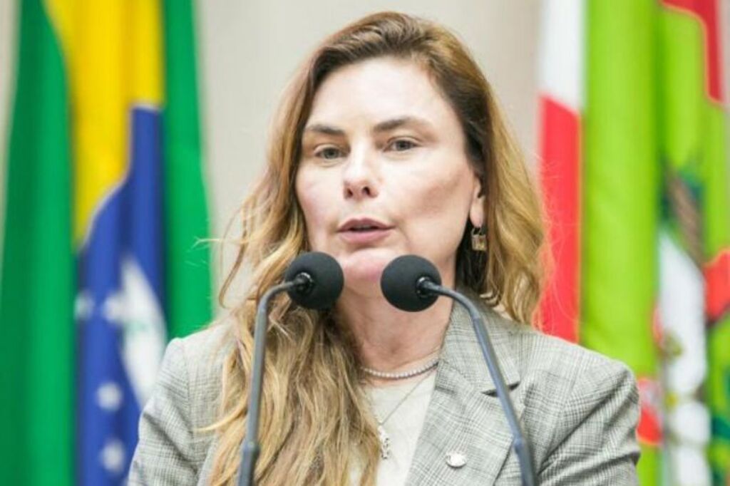 Paulinha apresenta projeto de lei para coibir bebidas adulteradas em Santa Catarina