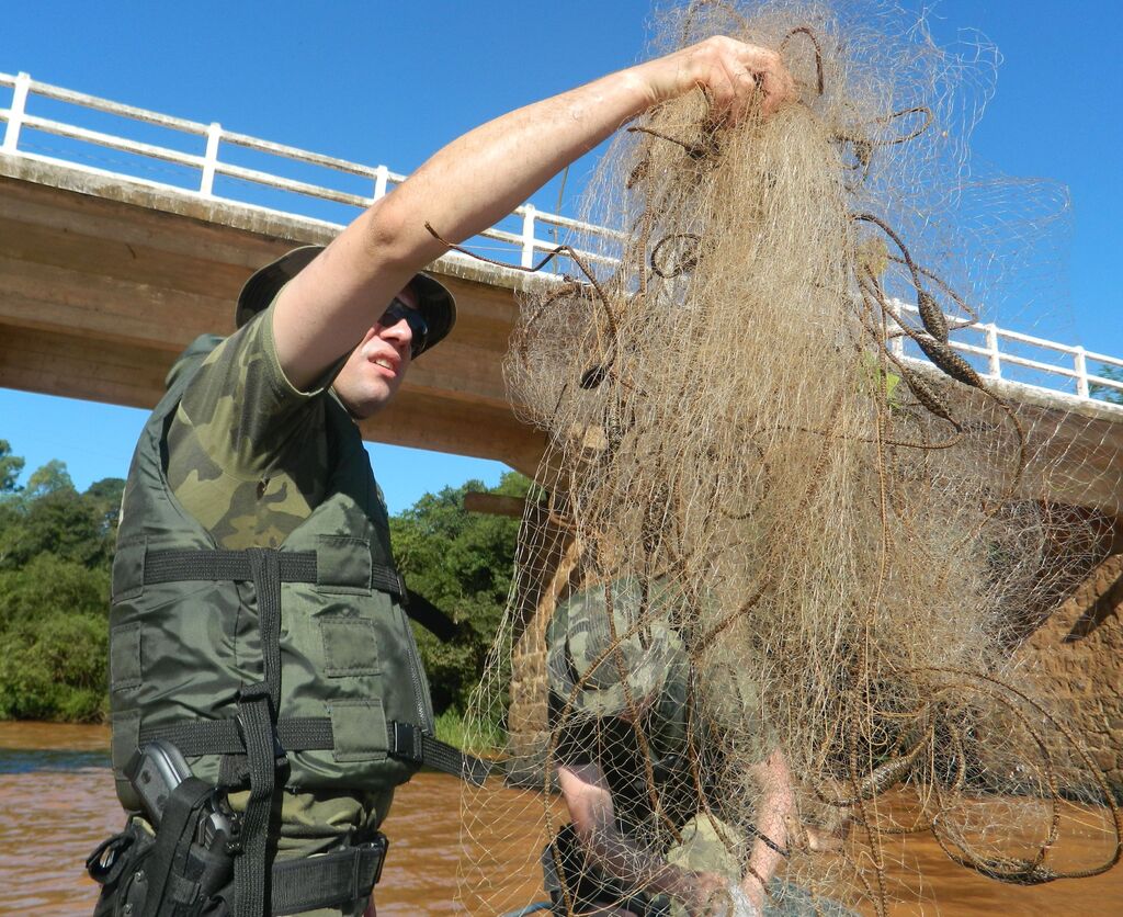 Piracema inicia em Santa Catarina e vai até janeiro