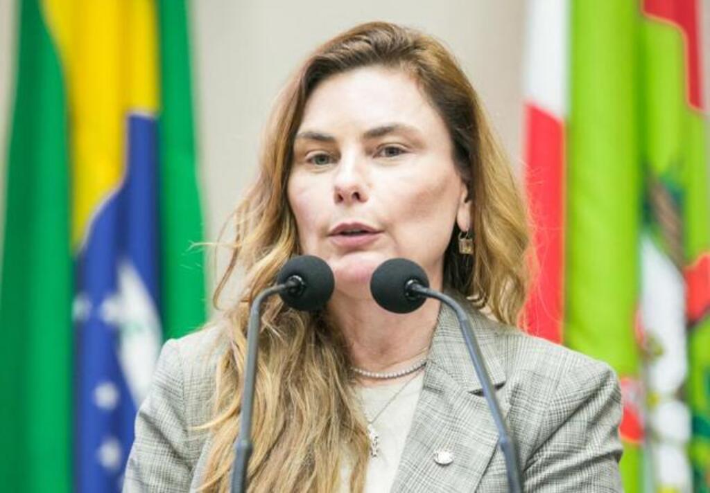 Paulinha apresenta projeto de lei para coibir bebidas adulteradas em Santa Catarina