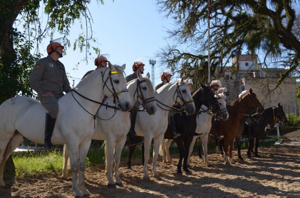 Cavalaria se capacita para atuar em grandes eventos e manifestações