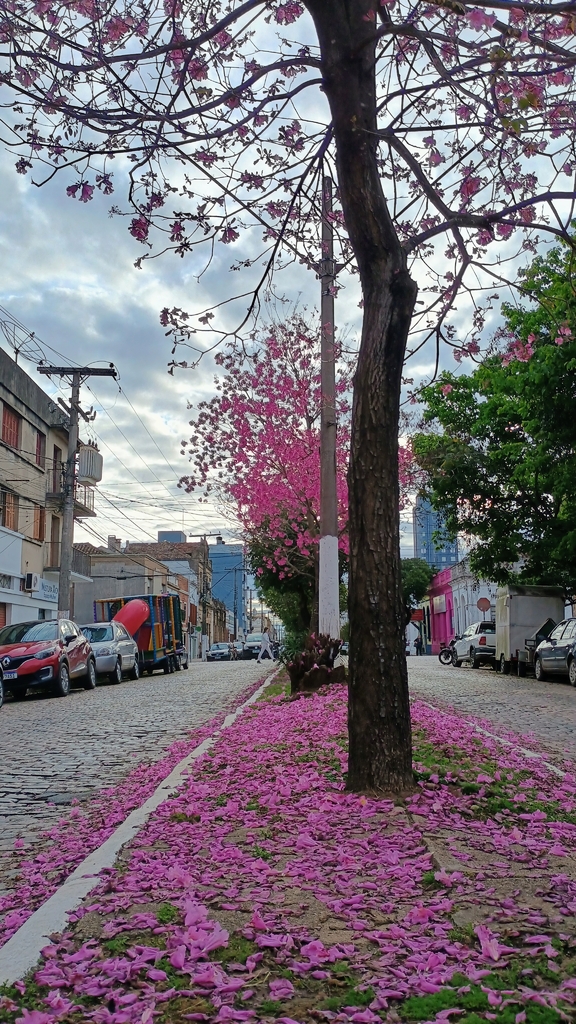 Instabilidade chega e deve persistir até metade da próxima semana