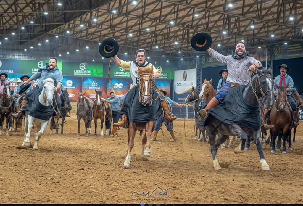 Cavalo Crioulo