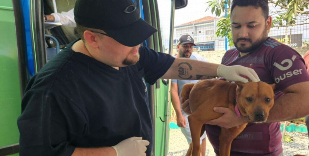 Castramóvel realiza mais de 200 atendimentos no Paranaguamirim