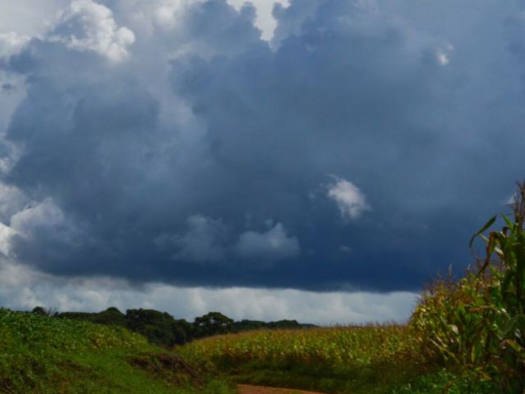 Agricultor familiar: saiba como obter documentos da Epagri/Ciram para comprovar prejuízos causados por ventos e tempestades