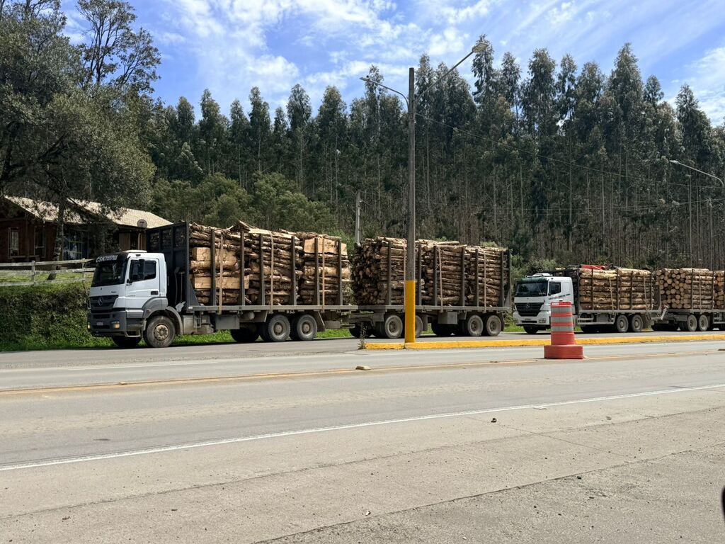 Três caminhões bitrens são flagrados com 32 toneladas de excesso de peso em Palmeira