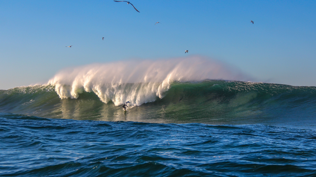 Imagem Lucas Barnis - Rota do Big Surf é aprovada e promete transformar o Sul de Santa Catarina em referência mundial do surfe de ondas gigantes