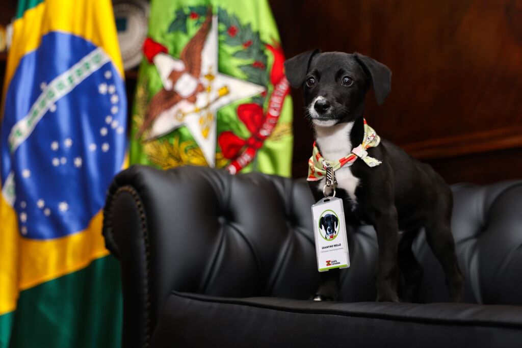 Roberto Zacarias/Secom GOVSC - 