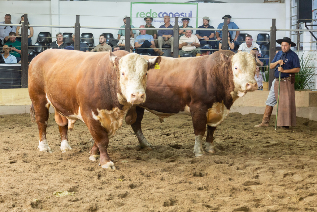 Agro, cultura e tecnologia movimentam programação da Farm Show
