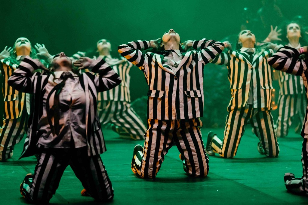 Festival Catarinense consagra talentos da Escola Municipal de Artes