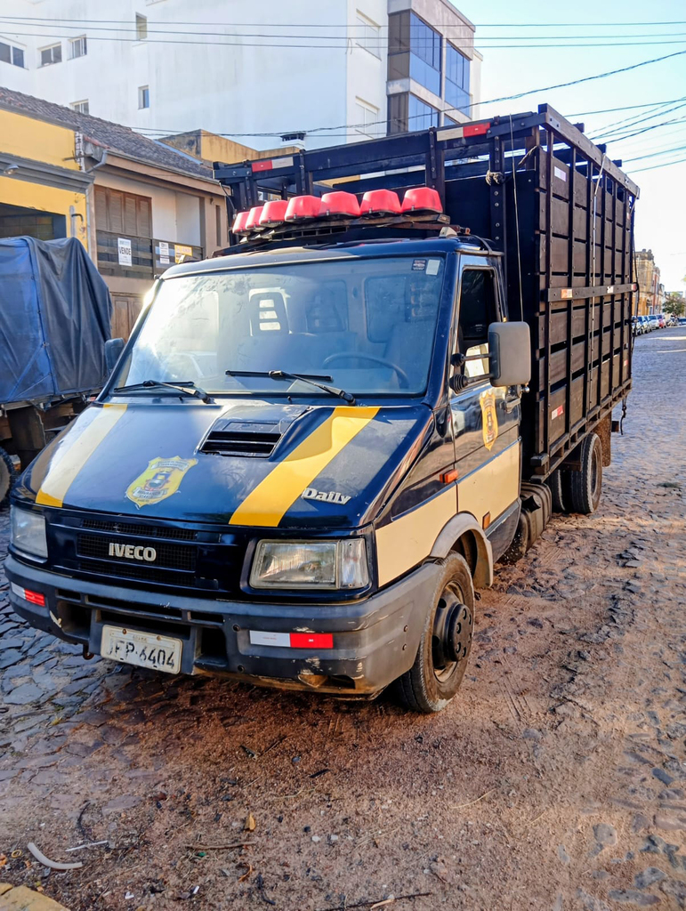 Caminhão para recolhimento de animais soltos volta a operar