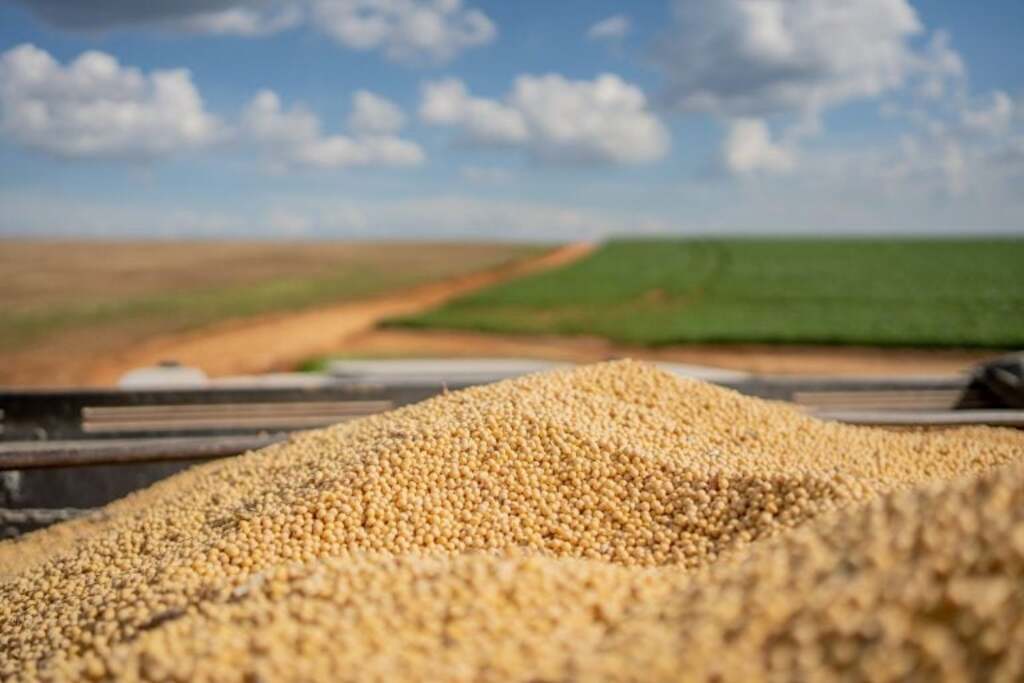 Brasil bate recorde histórico de exportação de soja