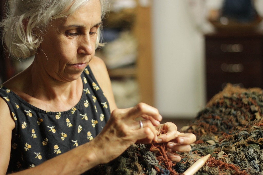 Joinville recebe 3º Festival de Cultura Ambiental neste sábado com programação gratuita de 12 horas