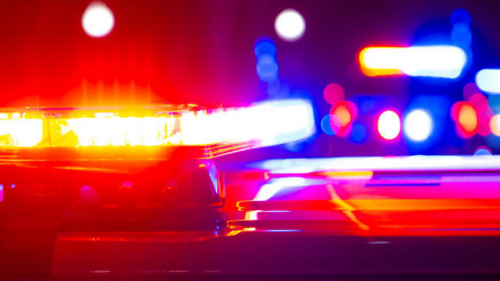 Imagem iStock - Homem é indiciado em SC após polícia encontrar mais de 500 imagens de abuso infantil e zoofilia