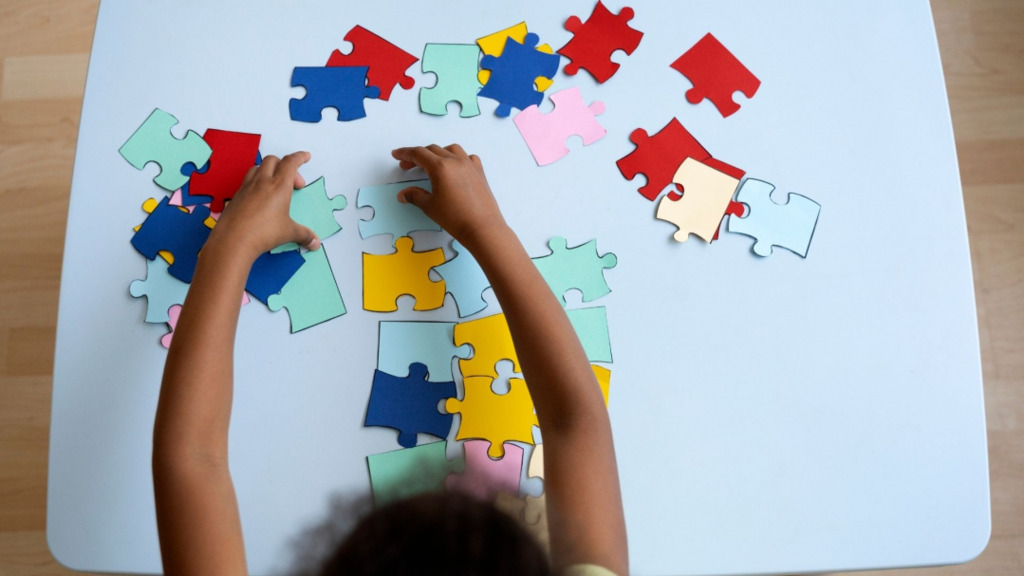 Canoinhas sedia o 1º Seminário Regional sobre Autismo