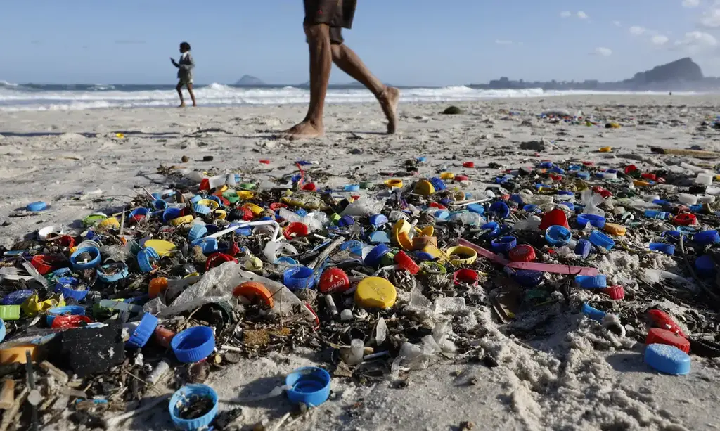 Microplásticos ameaçam a vida marinha e a saúde humana e já são encontrados nas praias de São Francisco do Sul