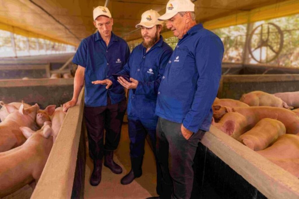 1º Relatório de Sustentabilidade da Aurora Coop reforça compromisso com o bem-estar animal