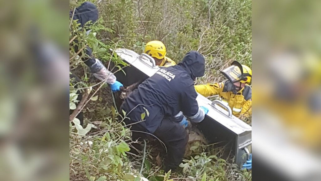 Imagem: CBMSC - Corpo de homem desaparecido é encontrado em área de mata em SC