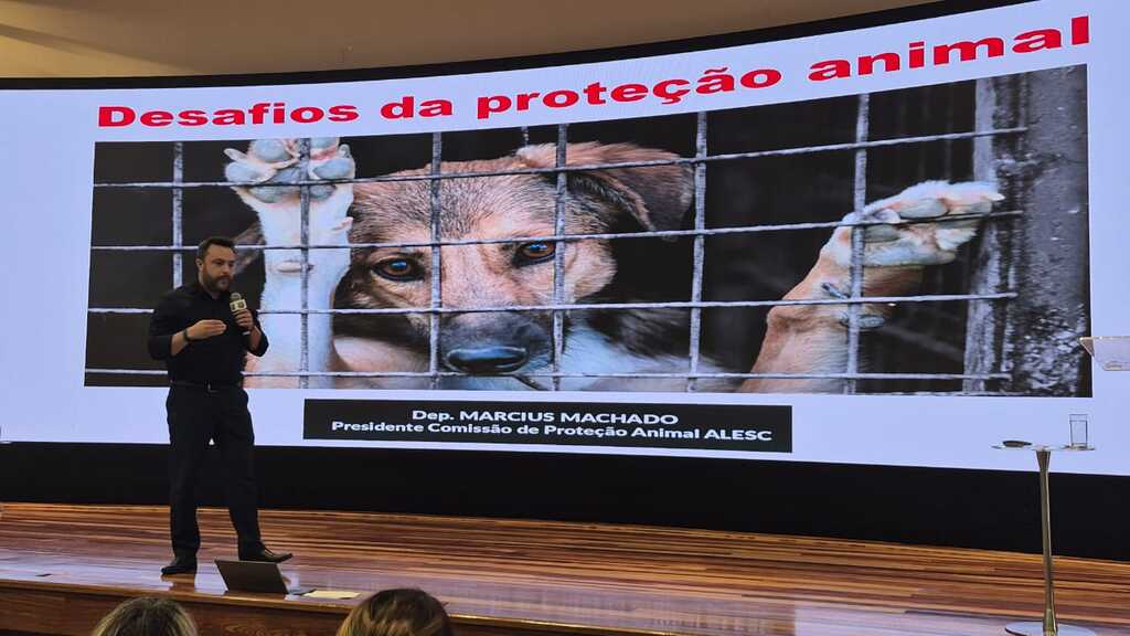 Imagem galeria