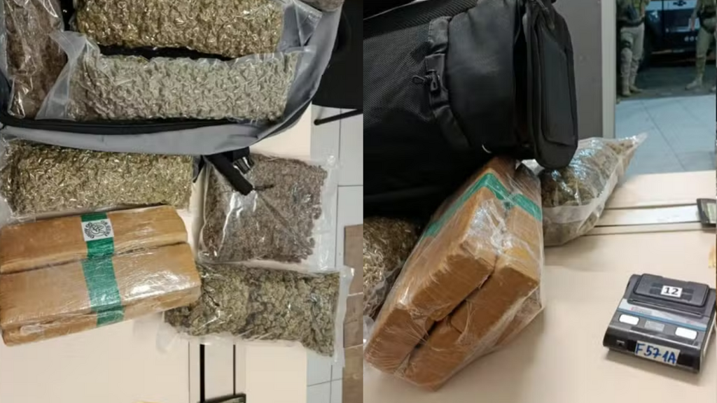 Foto: Divulgação/PM - Homem morre em rodoviária de SC e PM descobre quase 8 kg de drogas na mala