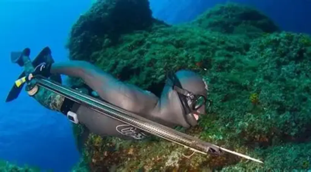 São Francisco do Sul recebe em novembro o 34º Campeonato Mundial de Pesca Subaquática