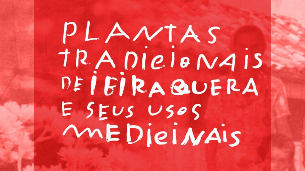 Ibiraquera será palco de evento gratuito sobre plantas medicinais e preservação cultural