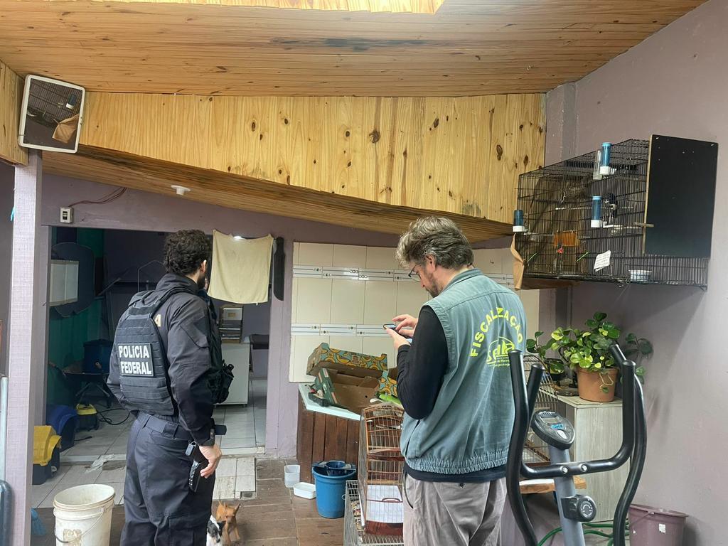 Polícia Federal apreende 24 aves silvestres
