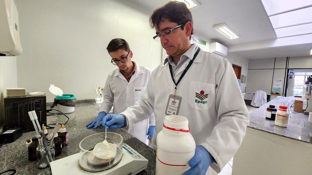 Imagem Artigo Geral Epagri estuda bactérias que promovem o crescimento de plantas