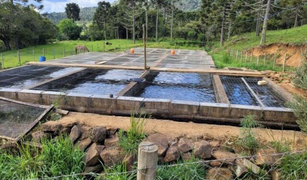 Truticultura será destaque em Encontro Regional de Piscicultura