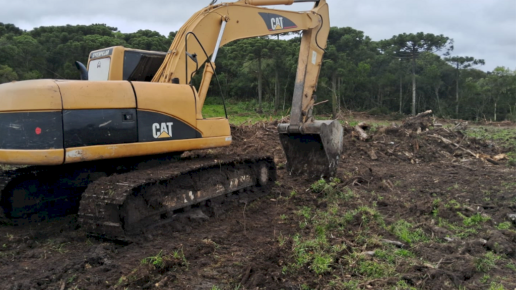 Polícia Militar flagra três desmatamentos ilegais em Lages