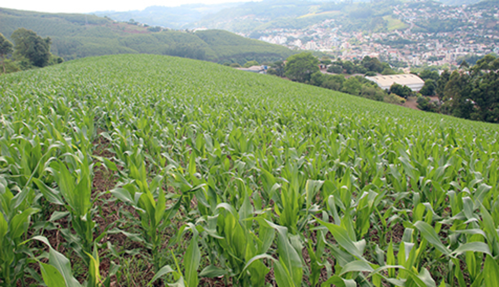 Região pode enfrentar estiagens