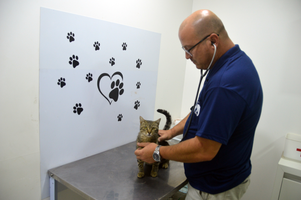 PL dá o nome de Dr. Giovani Dalcastagnê à Clínica Veterinária Municipal