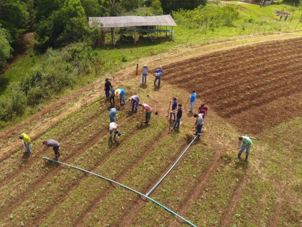Iniciam as inscrições gratuitas para ingressar nos Cedups Agrotécnicos