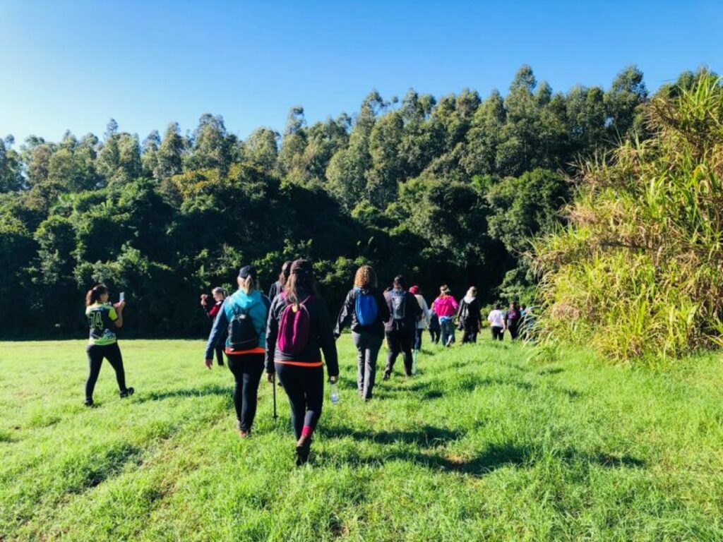  - IMAGEM DIVULGAÇÃO