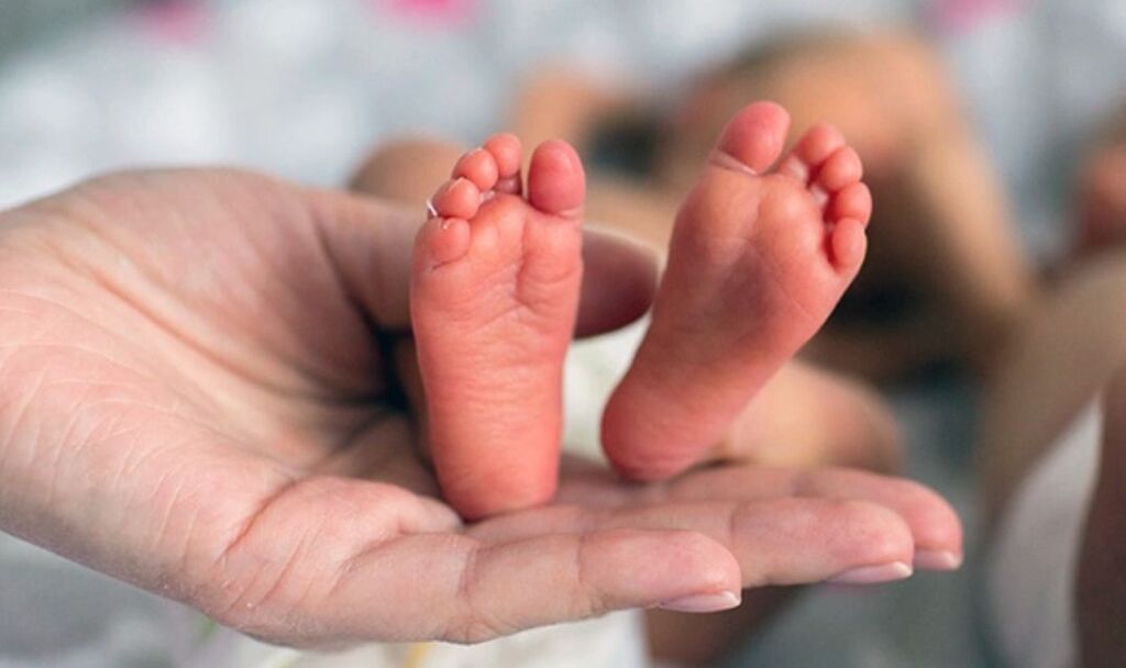 Unipampa promove simpósio sobre prematuridade