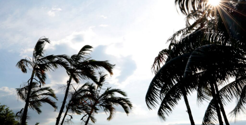 Defesa Civil de Joinville mantém alerta para vento forte nas próximas horas