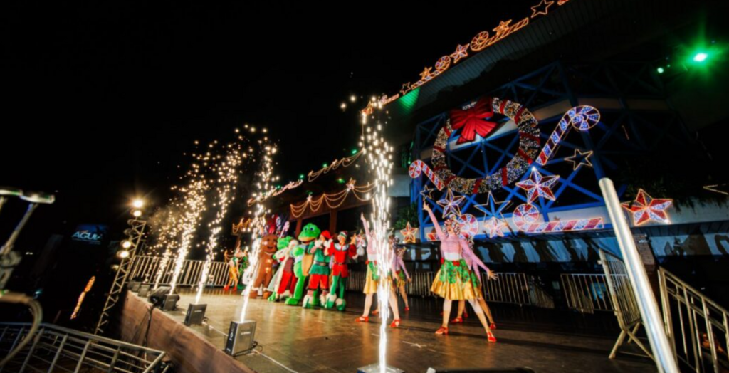 Espetáculo gratuito com cerca de 200 artistas marca início do Natal de Joinville neste fim de semana