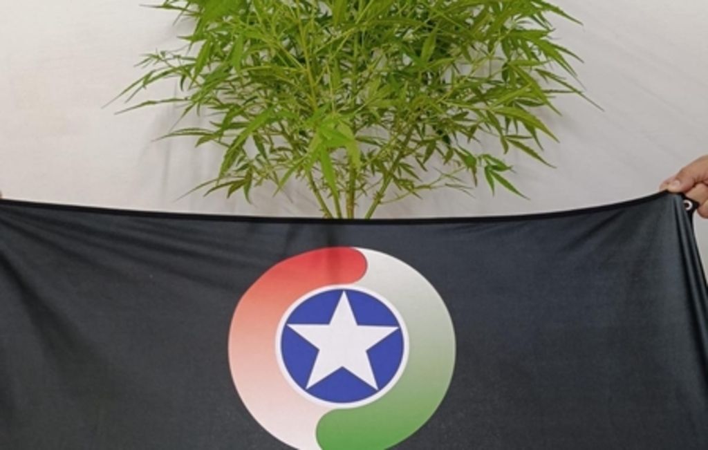  - IMAGEM DIVULGAÇÃO