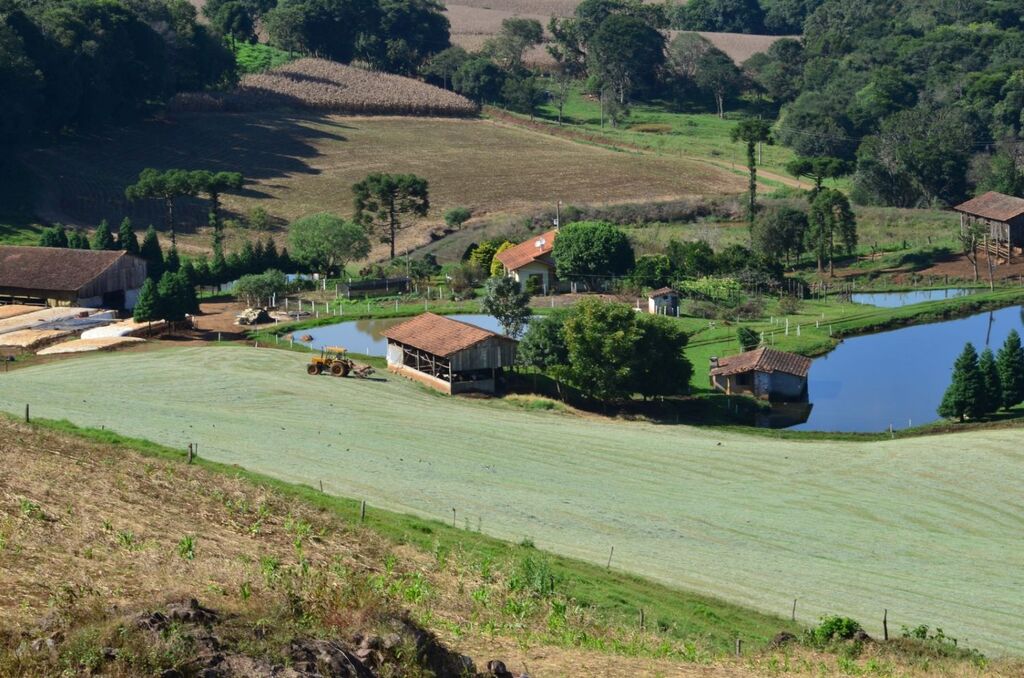  - IMAGEM DIVULGAÇÃO