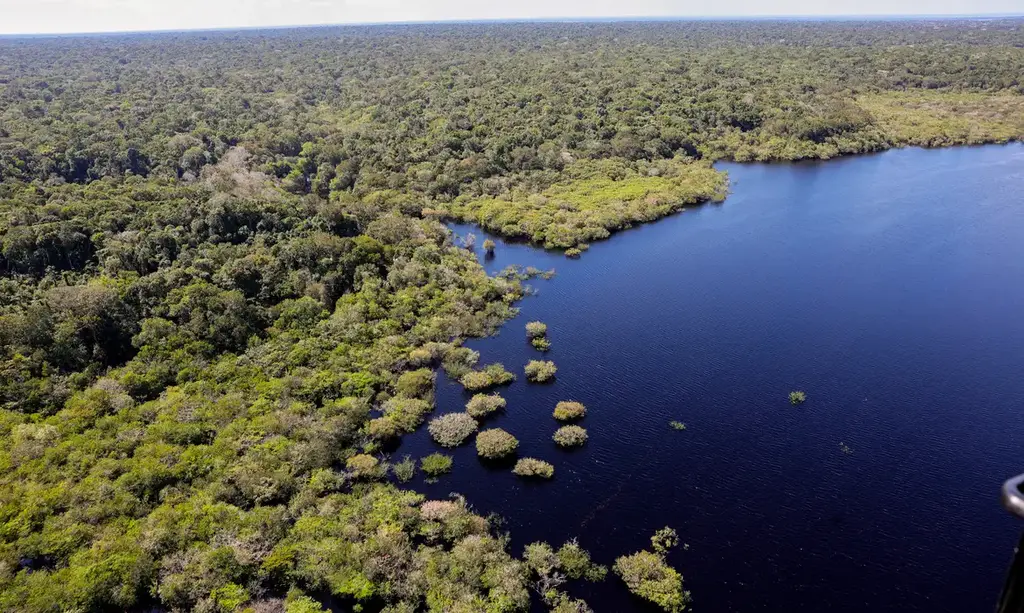COP30: quarto leilão do Eco Invest terá foco exclusivo na Amazônia