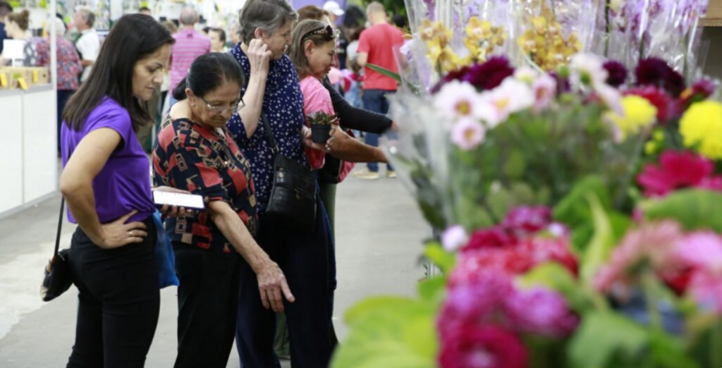 85ª Festa das Flores de Joinville começa nesta terça-feira com edição mais florida da história