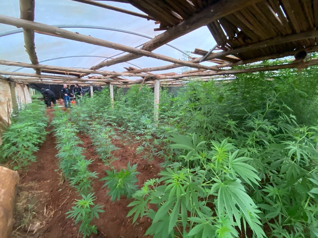  - IMAGEM DIVULGAÇÃO