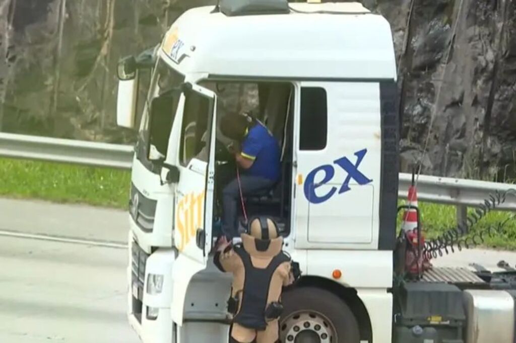 Falsa comunicação de crime: o que a lei diz sobre o caso do motorista da carreta que parou o Rodoanel
