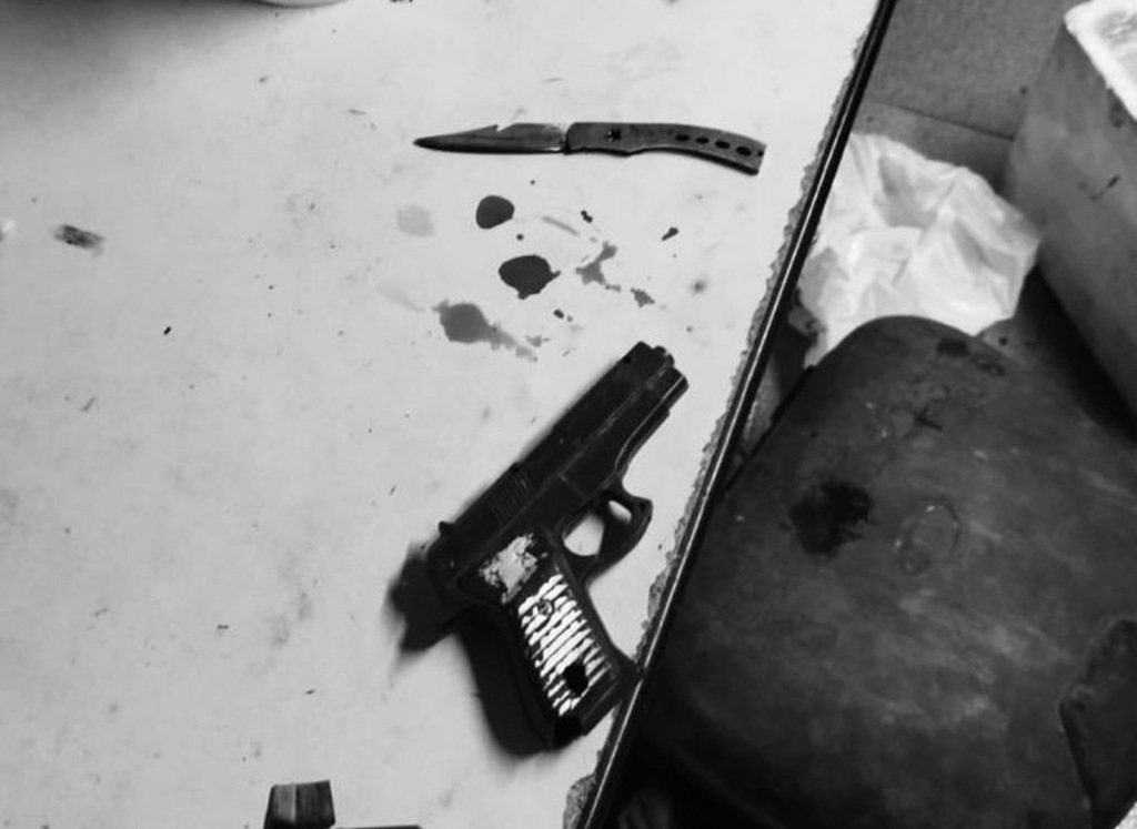 Filho mata a mãe e irmã e é morto pela PM em Criciúma